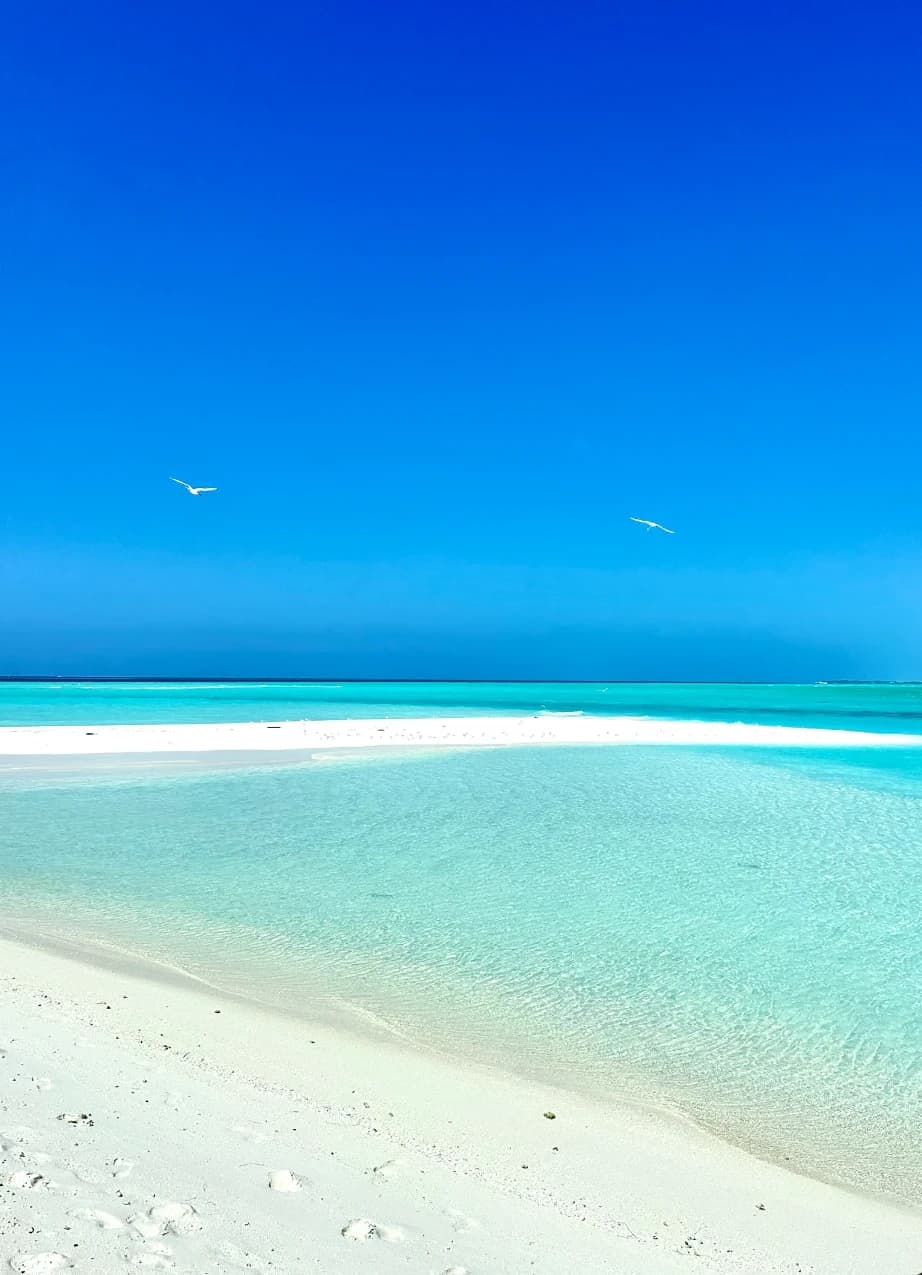 Maldives reset week